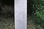 WM6WKQ - Arboretet, Hørsholm, Danmark